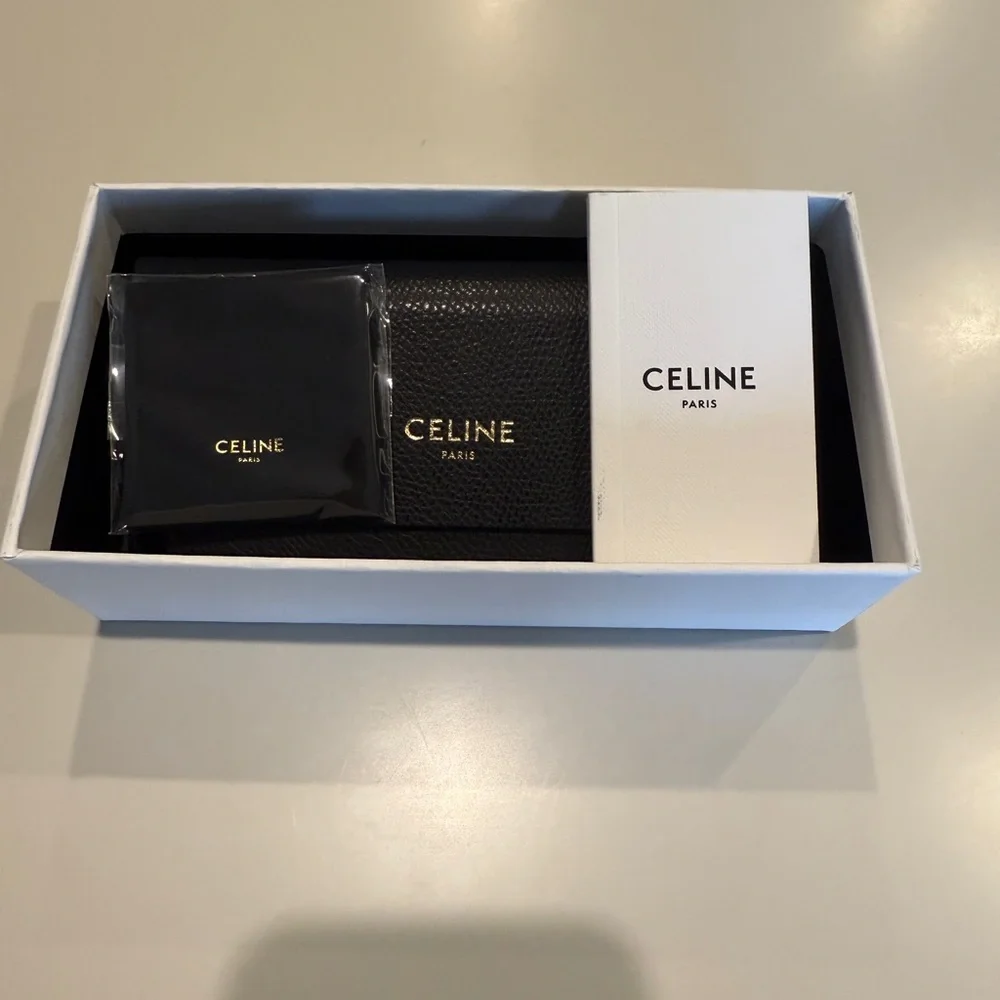 COPY - Celine Triomphe Tortoise Sunglasses - Picture 12 of 12